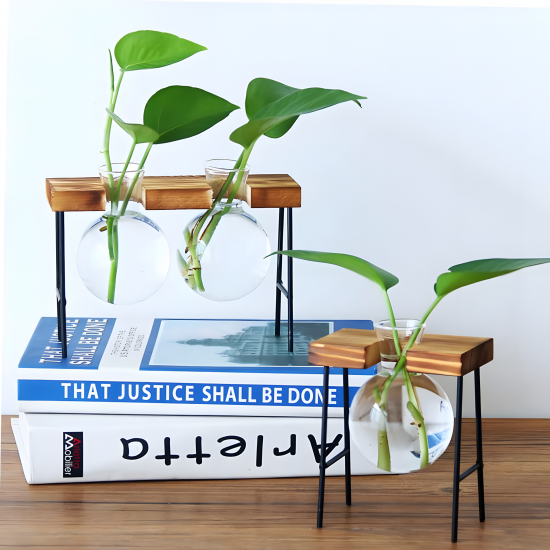Glass Planter With Wooden Base